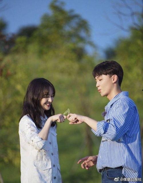 娛樂(lè)圈吃瓜科學(xué)是什么意思,揭秘娛樂(lè)圈八卦背后的真相與規(guī)律