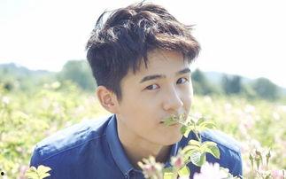 娛樂圈吃瓜陳姓男星都有誰,揭秘那些年我們追過的星