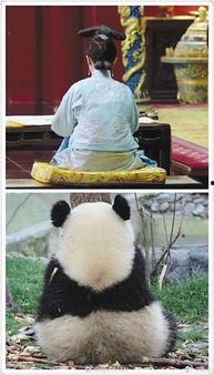 娛樂圈吃瓜群眾是誰呀,揭秘那些熱衷于八卦的明星粉絲群體