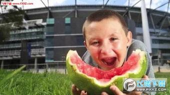 娛樂吃瓜醬男孩發(fā)表情包,趣味橫生，笑點(diǎn)滿滿