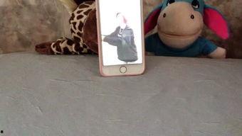 娛樂吃瓜妹鉆石色,揭秘鉆石色背后的故事