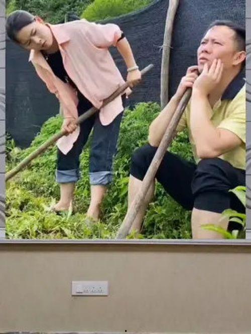 吃瓜群眾娛樂八卦,吃瓜群眾揭秘明星幕后故事