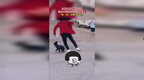 娛樂(lè)崽吃瓜,揭秘娛樂(lè)圈背后的那些事兒