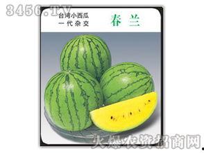 吃瓜娛樂圈小蘭花,娛樂圈的甜蜜瓜果，揭秘明星背后的故事