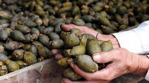 娛樂吃瓜醬過年焦慮等級(jí),娛樂吃瓜醬帶你領(lǐng)略不同等級(jí)的焦慮狂歡