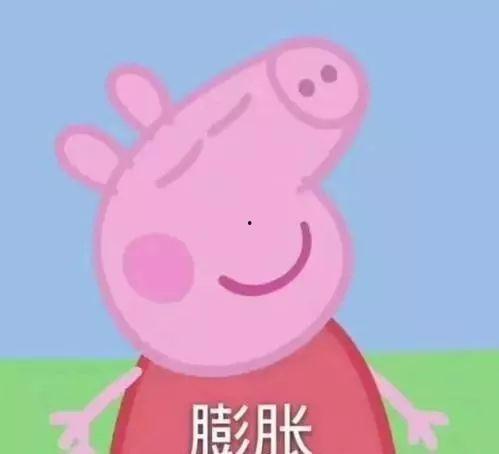 小豬娛樂吃瓜直播間,揭秘娛樂圈幕后故事