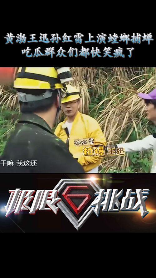 哈哈 娛樂吃瓜,吃瓜群眾熱議的“哈哈娛樂”事件全解析