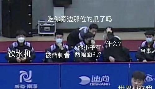 娛樂(lè)吃瓜男團(tuán)團(tuán)隊(duì),揭秘娛樂(lè)圈幕后風(fēng)云