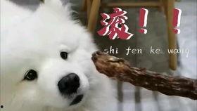 娛樂(lè)吃瓜汪,揭秘娛樂(lè)圈那些不為人知的幕后故事