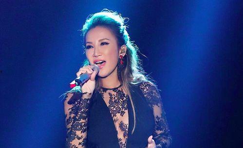 娛樂吃瓜醬李玟,娛樂吃瓜醬的璀璨星光