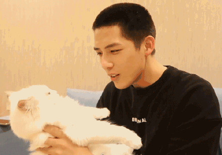 娛樂圈吃瓜爆料王安宇,娛樂圈幕后真相大曝光