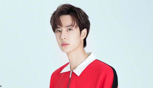 愛豆吃瓜娛樂醬陳曉,愛豆吃瓜娛樂醬，揭秘娛樂圈幕后故事