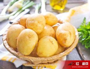 娛樂吃瓜小金土豆,揭秘吃瓜群眾背后的土豆人生