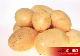 娛樂吃瓜小金土豆,揭秘吃瓜群眾背后的土豆人生