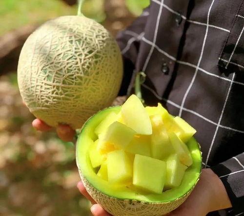 娛樂吃瓜切,揭秘明星幕后故事