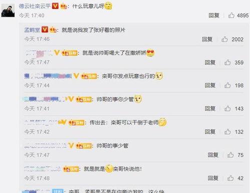 娛樂吃瓜醬評論區(qū),揭秘明星幕后故事，笑料百出