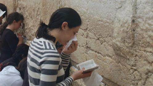 娛樂吃瓜君白鹿怎么了,娛樂吃瓜君深度解析