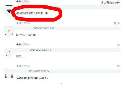 娛樂吃瓜醬文件傳輸,揭秘文件傳輸背后的精彩故事