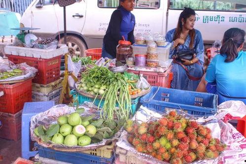 娛樂吃瓜醬柬埔寨騙局