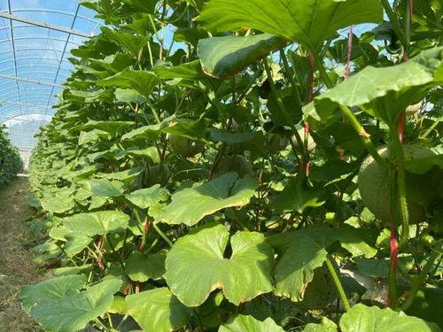 2022 娛樂吃瓜,年度吃瓜大事件盤點(diǎn)