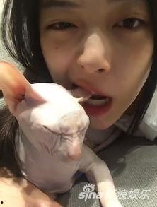 娛樂吃瓜醬虐貓,真相與反思