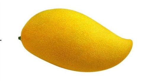 芒芒果娛樂(lè)吃瓜,揭秘娛樂(lè)圈最新“吃瓜”事件