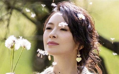 胖妞吃瓜看娛樂,笑談娛樂圈風云變幻