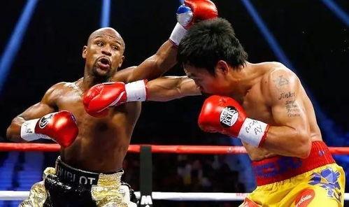 吃瓜娛樂拳擊比賽視頻播放,吃瓜群眾圍觀精彩拳擊比賽視頻