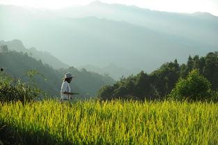 娛樂吃瓜醬拐進山里,拐進神秘山林探險記