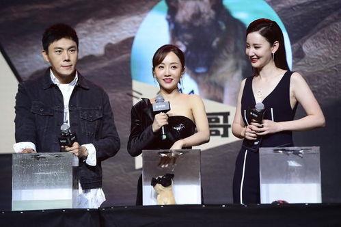 娛樂圈吃瓜爆料合集小說,揭秘幕后真相與愛恨情仇